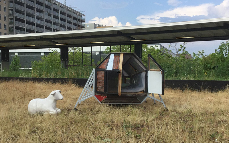 BEDBUG with one door open in Rotterdam